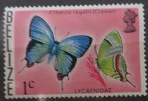 [Butterflies of Belize, 类型 J]