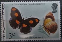 [Butterflies of Belize, 类型 L]