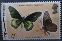 [Butterflies of Belize, 类型 M]