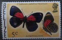 [Butterflies of Belize, 类型 N]