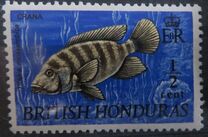[Wildlife - Fish, tegund DT]
