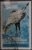 [Birds, տեսակ CY1]