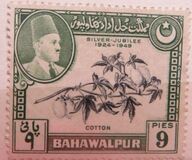 [The 25th Anniversary of the Reign of Sadeq Mohammad Khan V, type N]