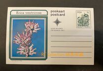 [Flora - Protea Plants, Tipi PI]