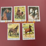 [Horses, type UB]