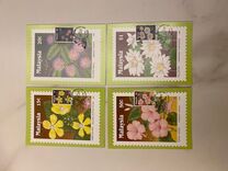 [Wildflowers, type ND]