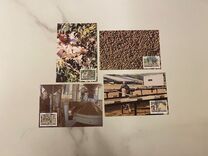 [Coffee Industry, Typ FK]