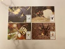 [Spiders, Tip GY]