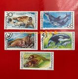 [Marine Mammals, タイプ ENH]
