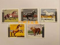 [Horses, 유형 ELD]