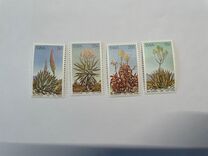 [Aloes, тип IK]