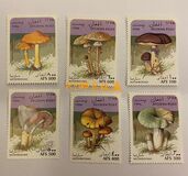 [Mushrooms, タイプ ALQ]