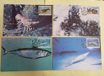 [Marine Life, type IE]