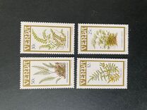 [Ferns, Tüüp DL]
