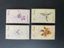 [Orchids, tip AT]