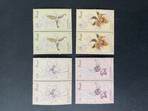 [Orchids, tip AT]