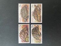 [Tortoises, type IW]