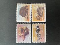 [South African Ostrich, type KU]