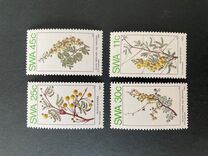 [Acacias in Spring, Typ KQ]