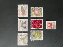 [Flora - Protea Plants, tyyppi PH]