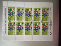 [World Cup Rugby Championship, South Africa, type AGB]