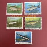 [Fish, tyyppi AP]
