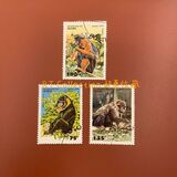 [Primates, 类型 PN]