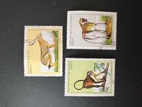 [Mammals, тип APZ]