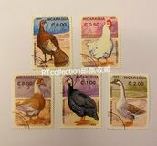 [Domestic Animals - Birds, type BPM]