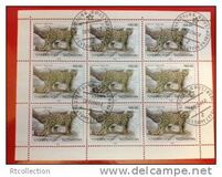 [Endangered Mammals, тип X]