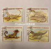 [Native Lizards, typ AZ]