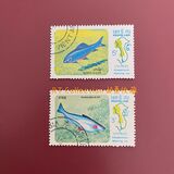 [Fish of Mekong River, type YU]