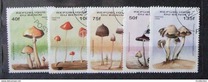 [Fungi, type UU]