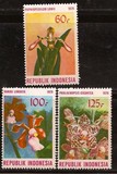 [Orchids, тип AIX]