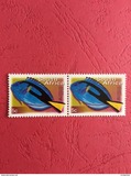 [Fauna and Flora - Fish, Tip ASI]