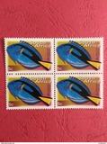[Fauna and Flora - Fish, Tip ASI]