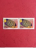 [Fauna and Flora - Fish, typ ASK]