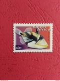 [Fauna and Flora - Fish, typ ASM]