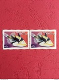 [Fauna and Flora - Fish, typ ASM]