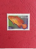 [Fauna and Flora - Fish, typ ASN]
