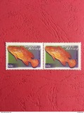 [Fauna and Flora - Fish, typ ASN]
