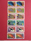 [Fauna and Flora - Fish, typ ASI]