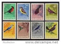 [Birds, Tipi WC]