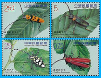 [Long-Horned Beetles, प्रकार DHZ]