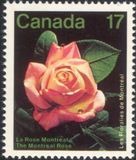 [Montreal Flower Show, Вид AAO]