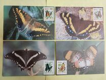 [Butterflies, type HE]