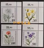[Charity Stamps - Herbal Plants, 类型 SR]