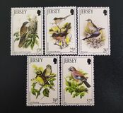 [Birds, type VX]