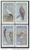 [Migratory Birds, Tipe CM]
