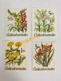 [Flowers, type CQN]